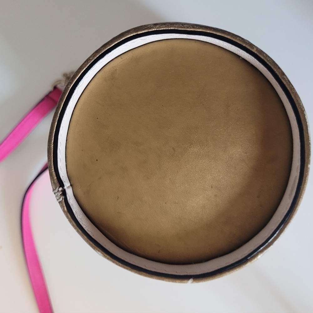 Kate Spade Flavor Of The Month Ice Cream Pint Crossbody, VGUC - Picture 7 of 10
